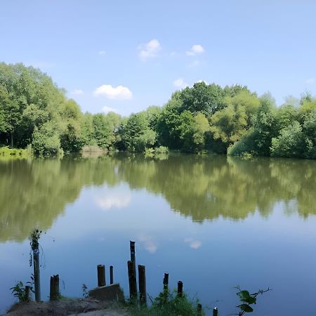 Zimmer 31Qm Inkl. Duschbad Hamburg-Harburg Exteriör bild